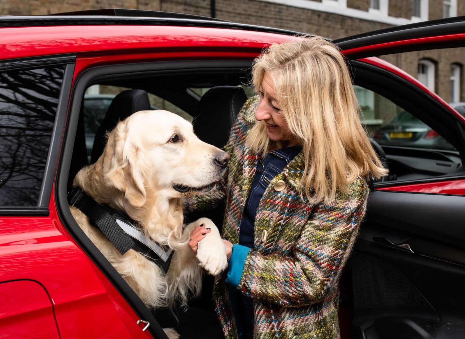 Dog inside a red car with woman