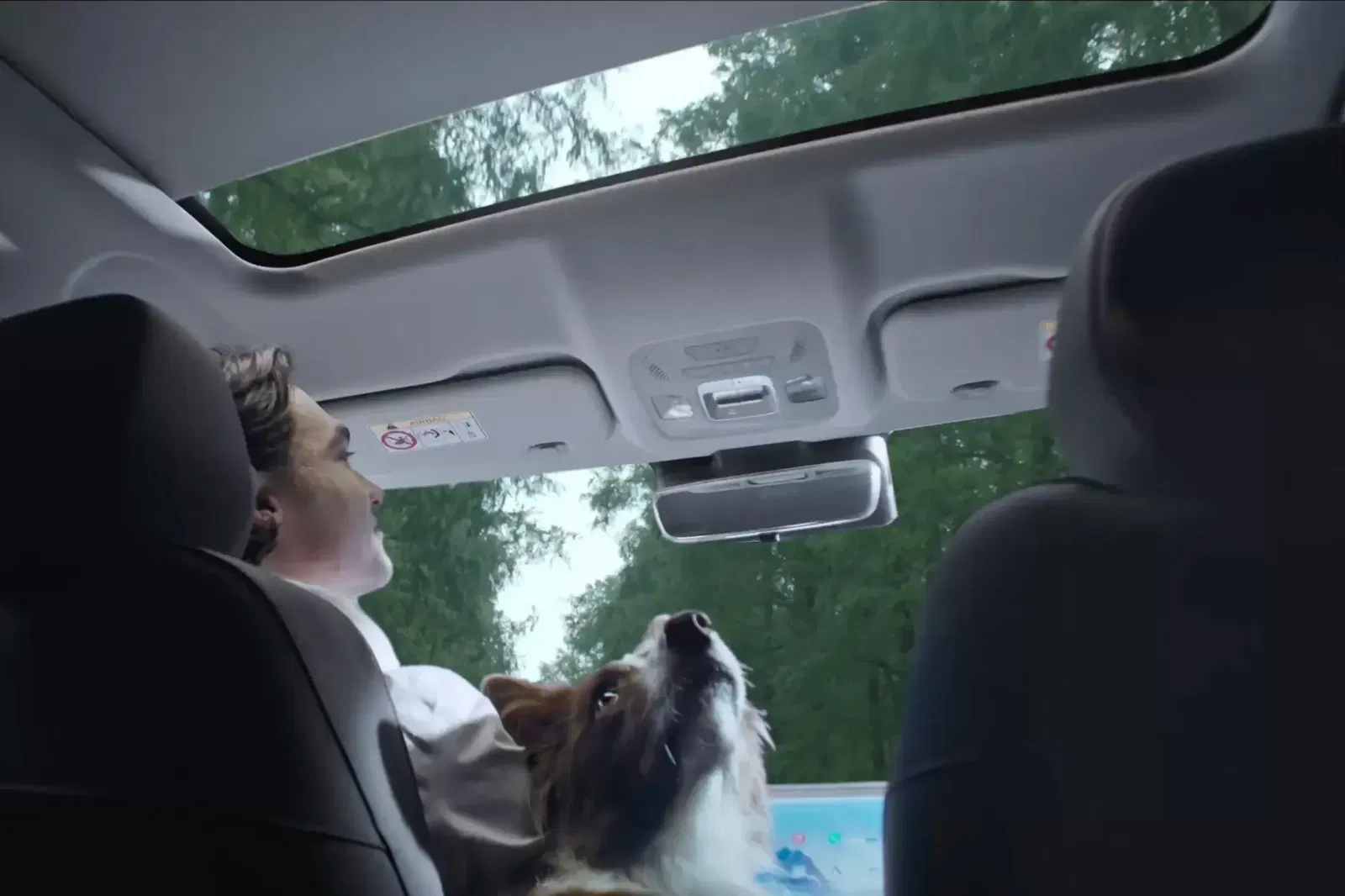 Image of Panoramic control